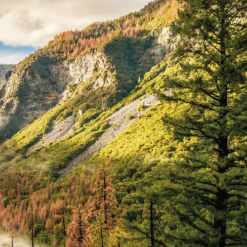 PORTADA SOSTENIBILIDAD 1